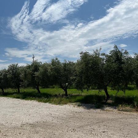 Il Casale Del Nonno Armando Villa Torrevecchia Teatina Eksteriør bilde
