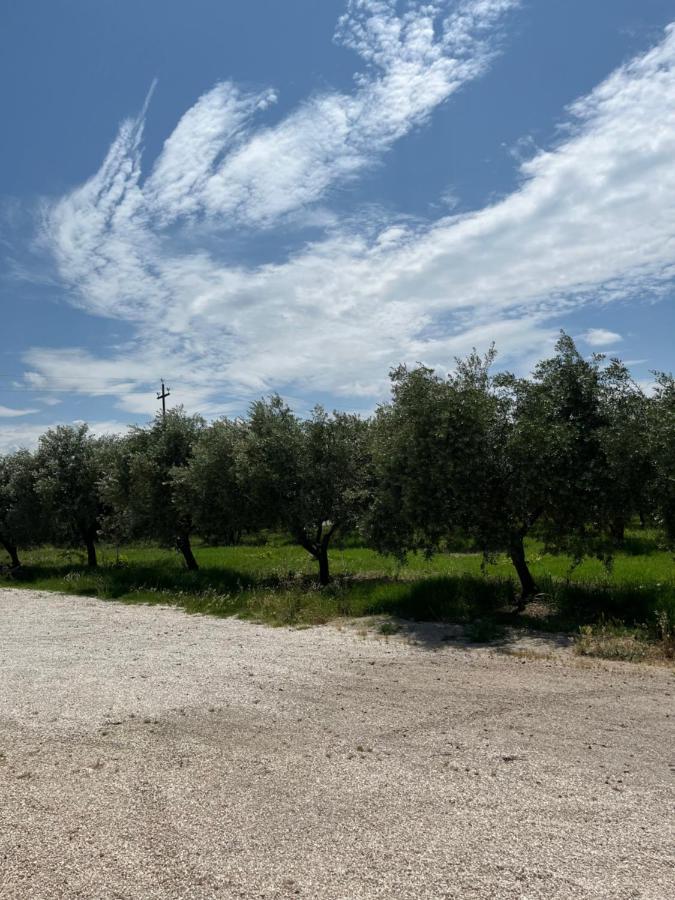 Il Casale Del Nonno Armando Villa Torrevecchia Teatina Eksteriør bilde
